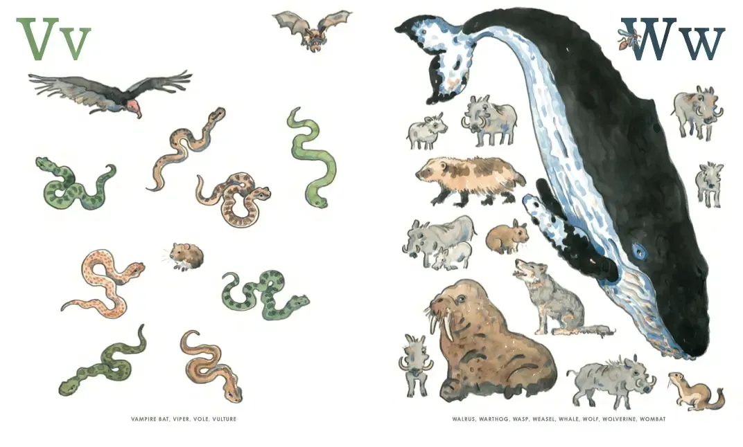 8: An Animal Alphabet