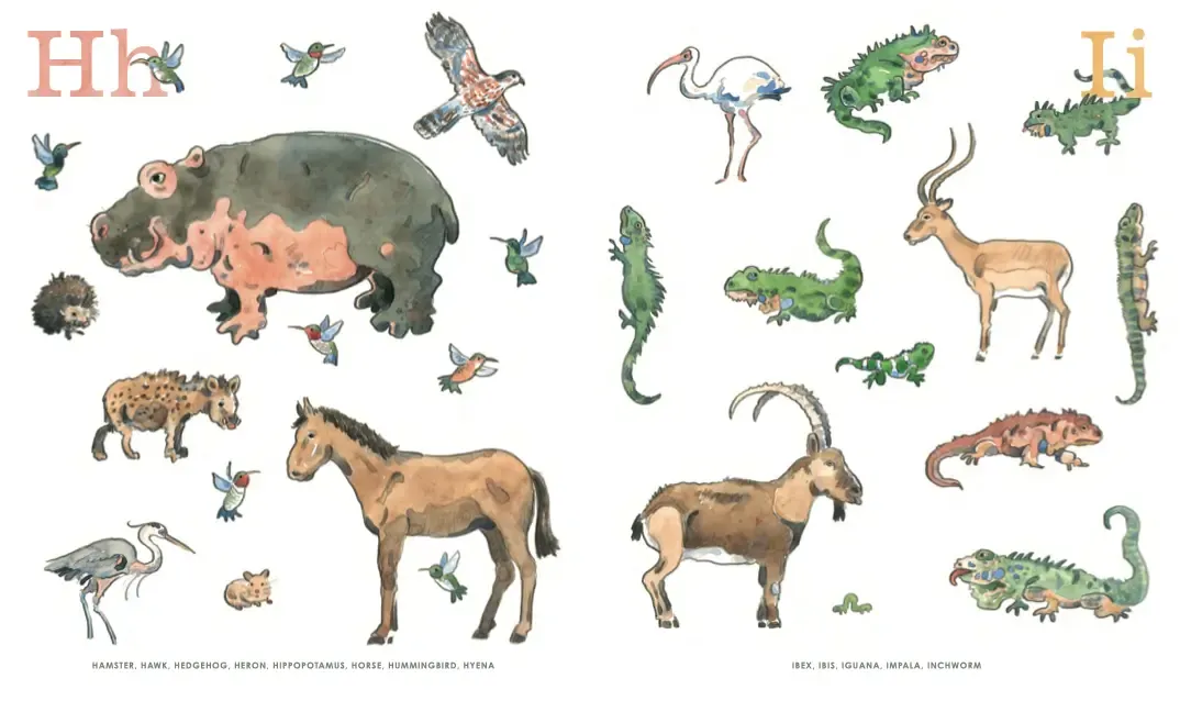 8: An Animal Alphabet